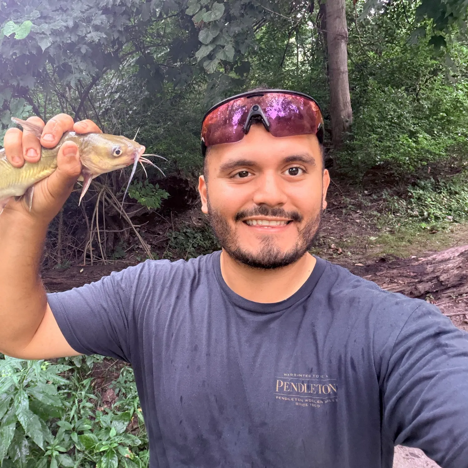 Channel catfish caught on Fishbrain