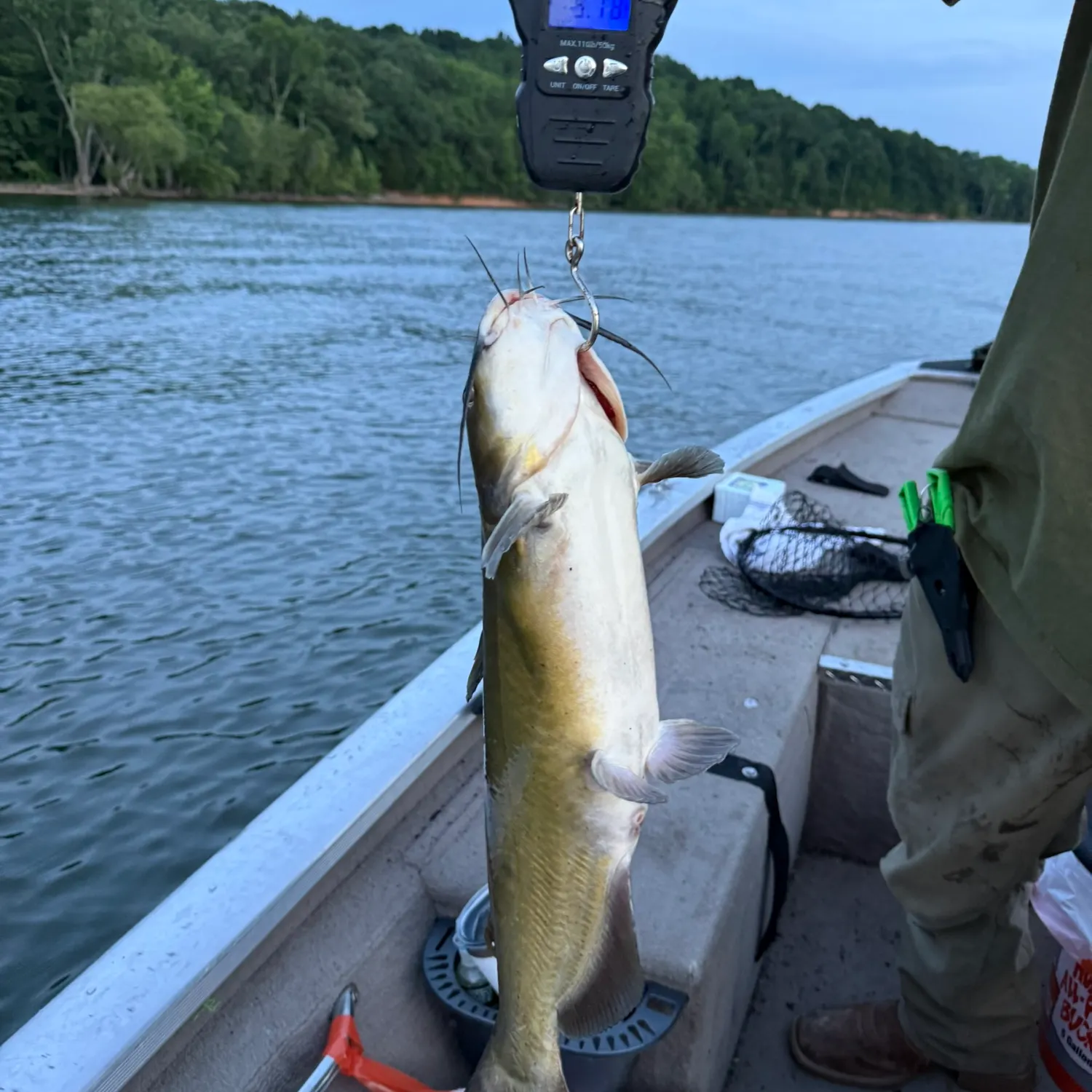catch