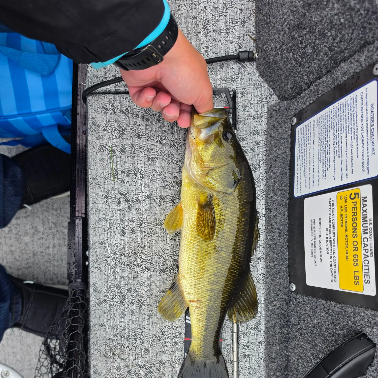 Largemouth bass caught on Fishbrain