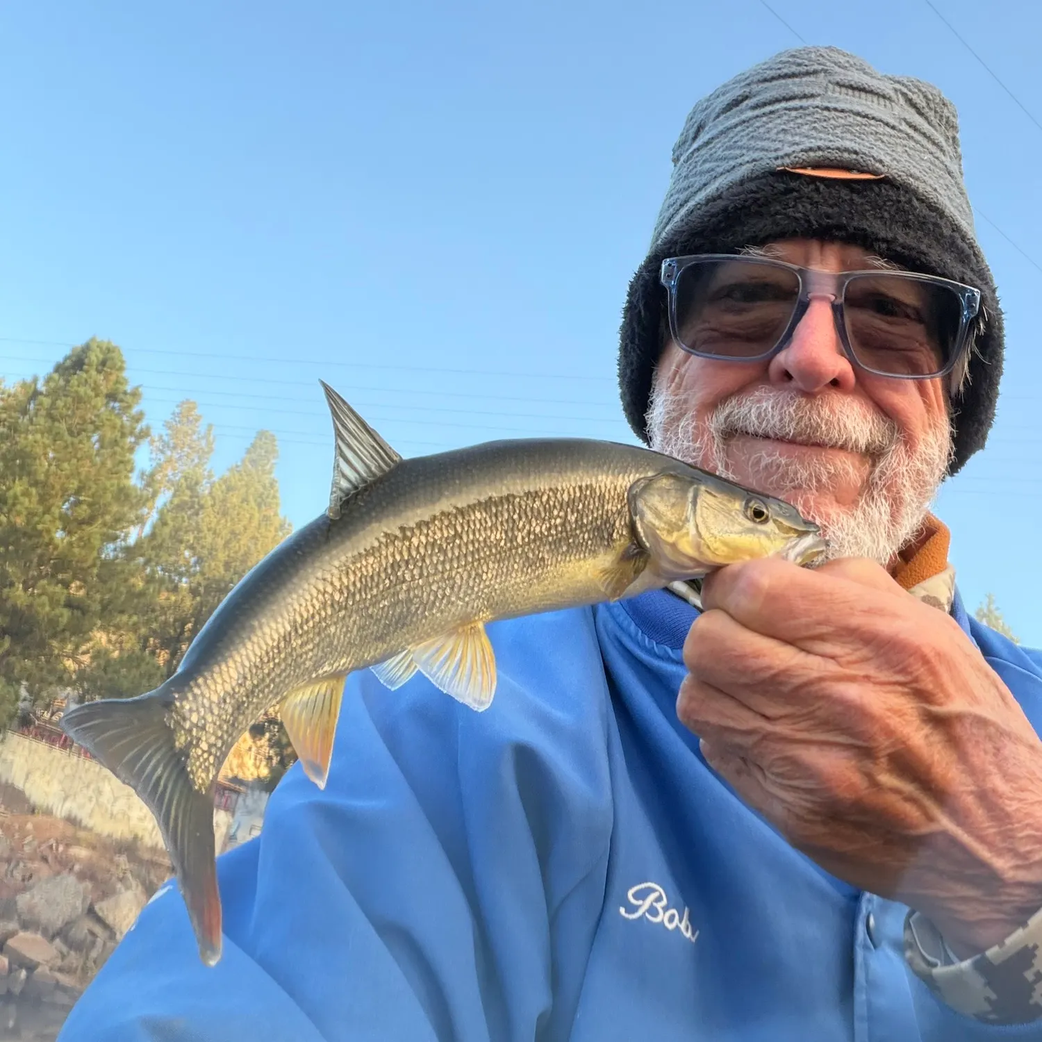 Northern pikeminnow caught on Fishbrain