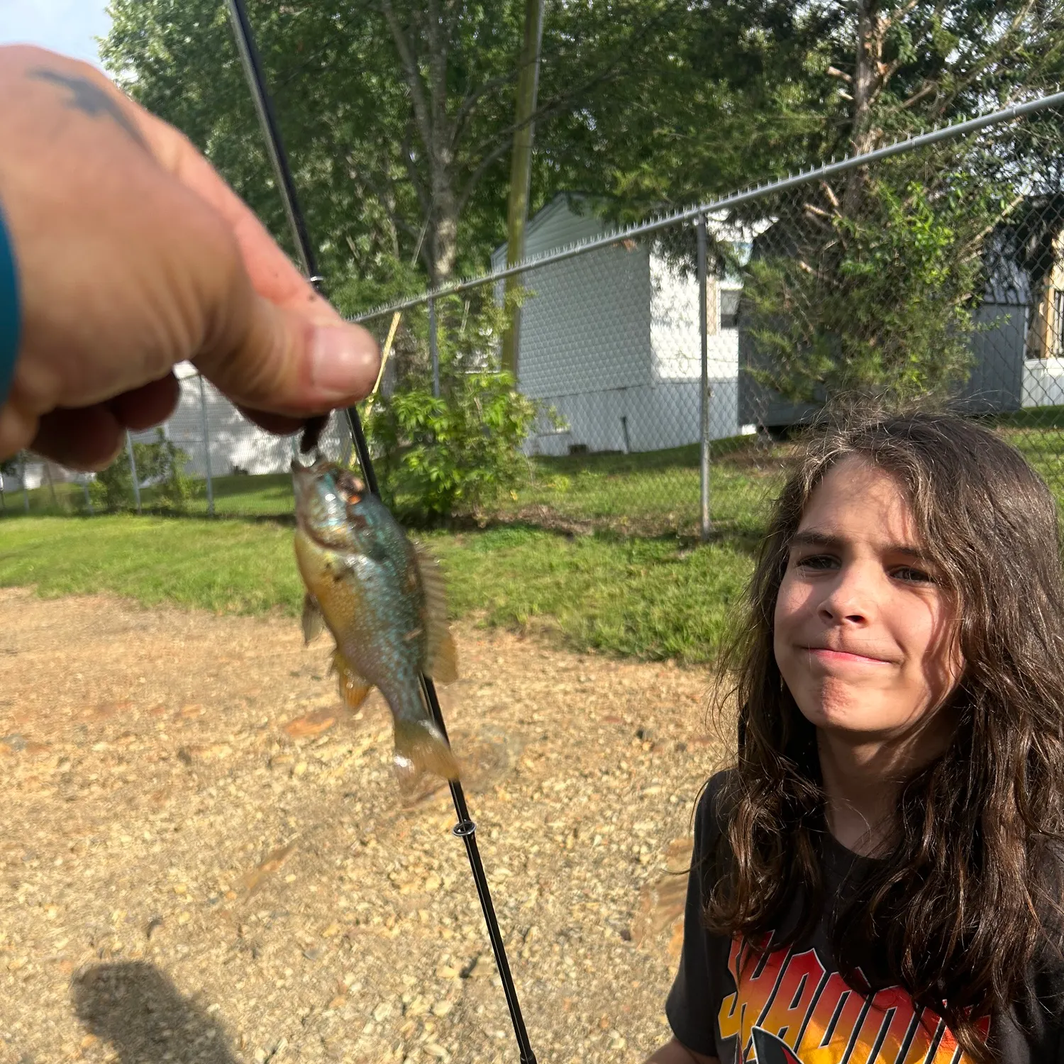 The most recent Redear sunfish catches on Fishbrain