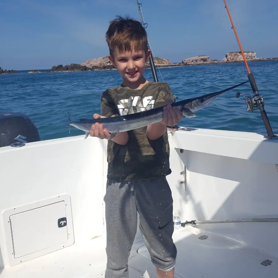 The most recent Flat needlefish catches on Fishbrain