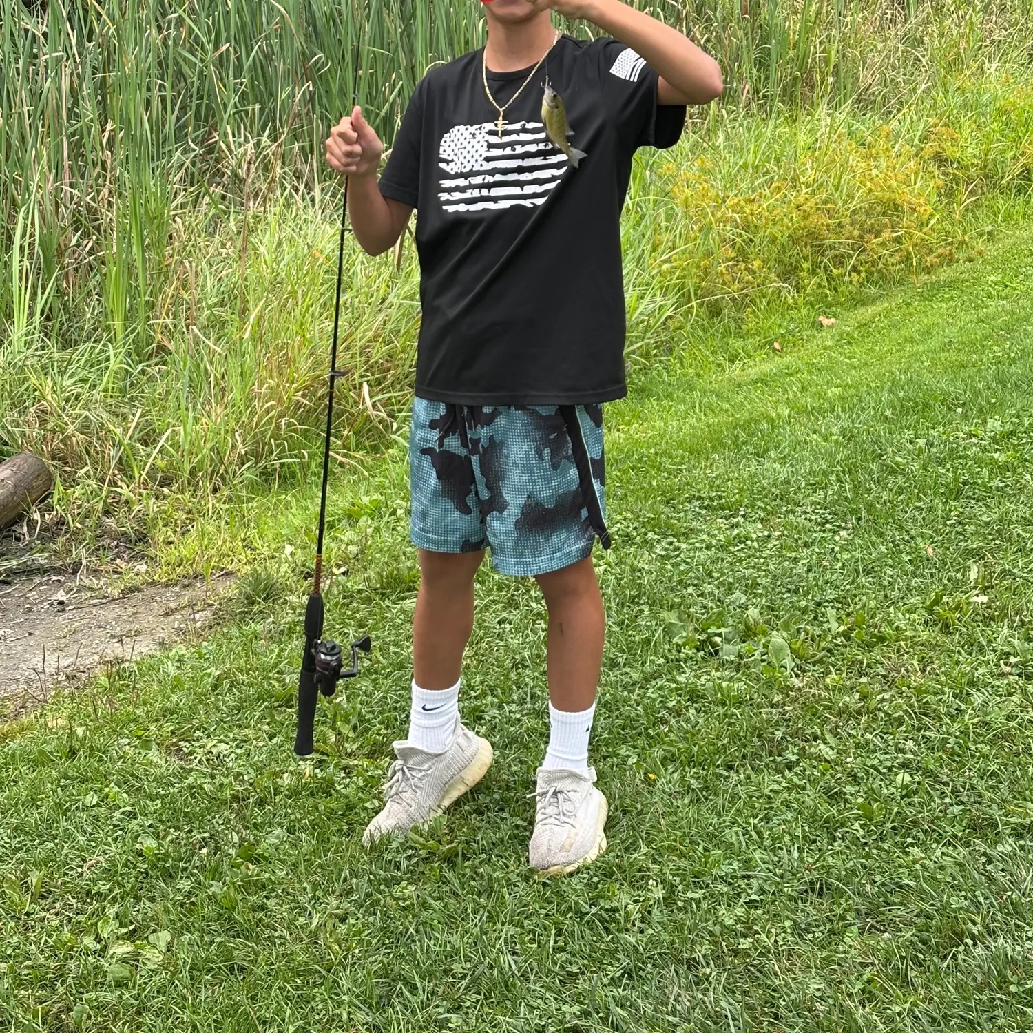 Bluegill caught on Fishbrain