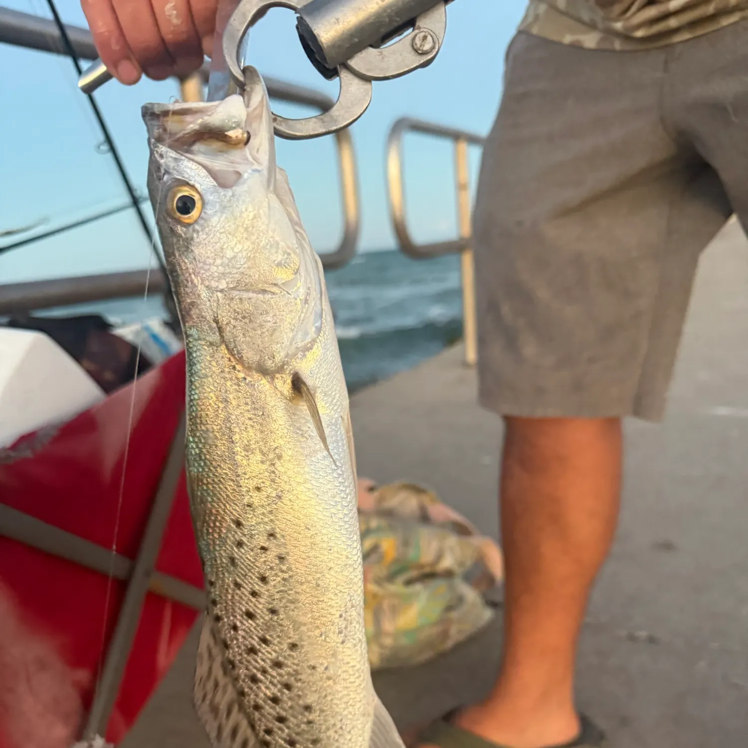 catch