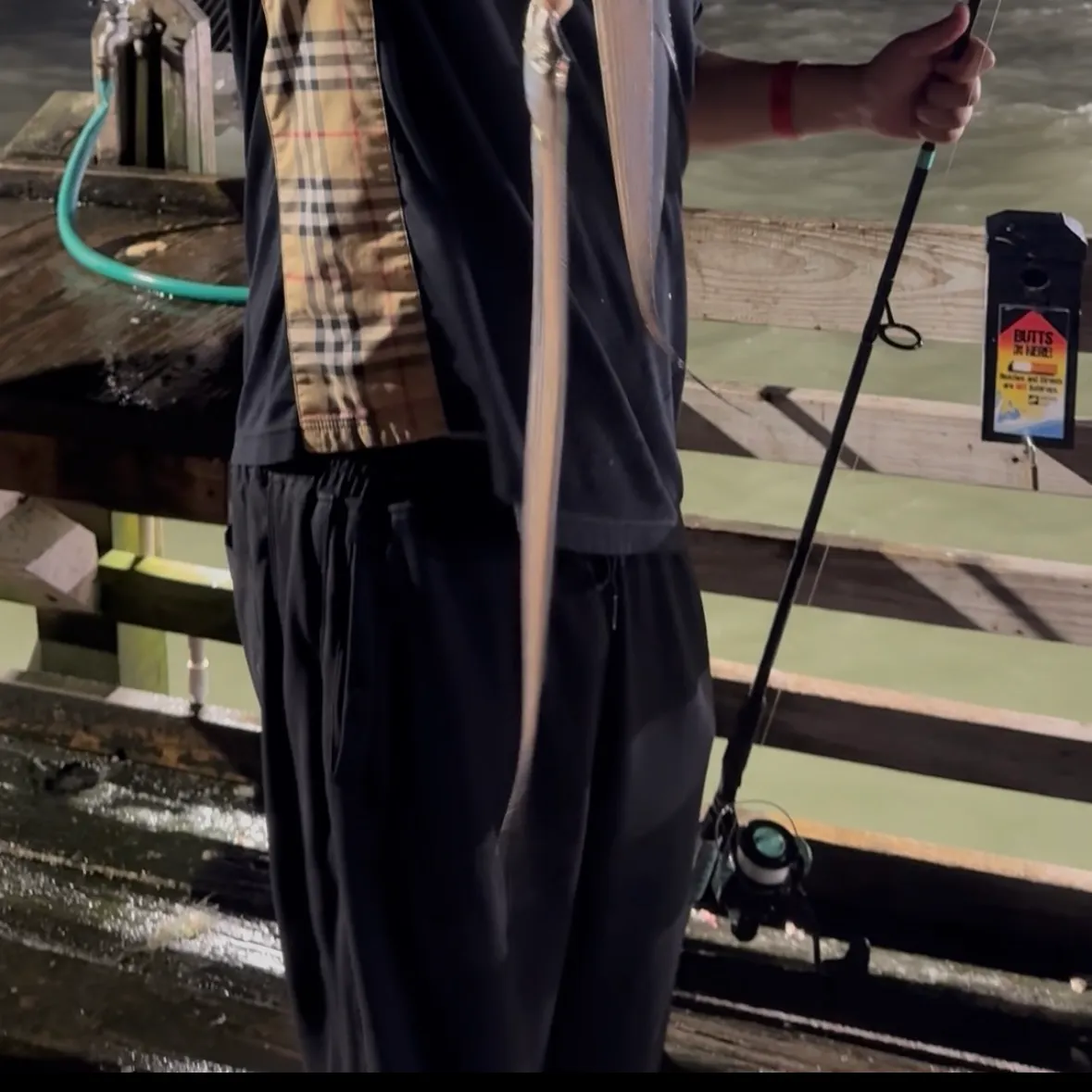 The most recent Atlantic cutlassfish catches on Fishbrain