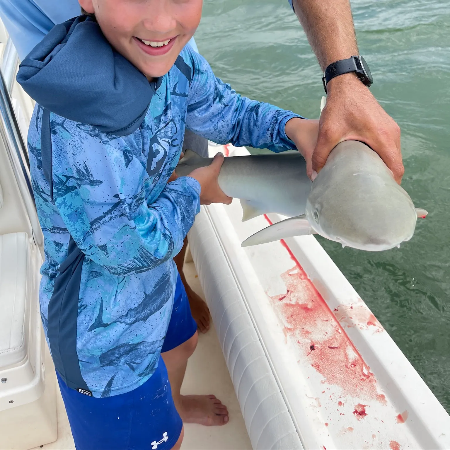 The most recent Bonnethead shark catches on Fishbrain