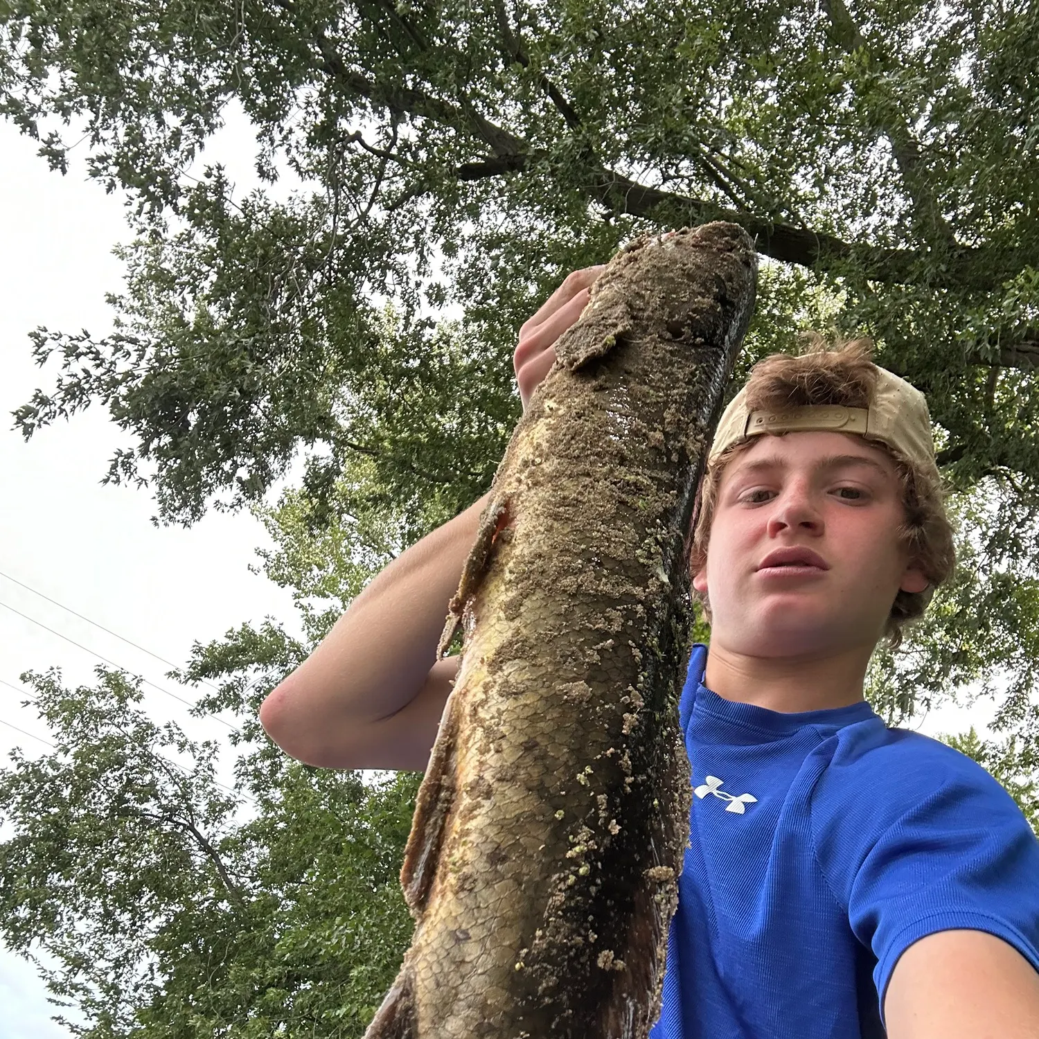 Eyetail bowfin caught on Fishbrain