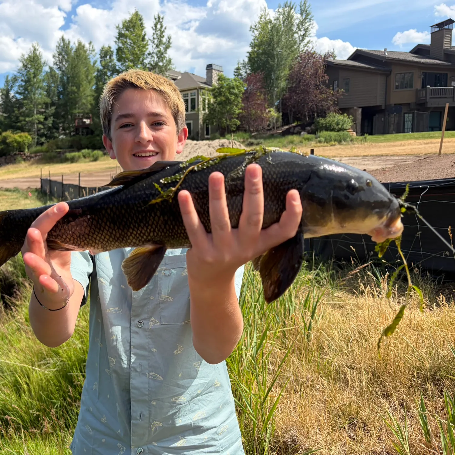 The most recent Utah sucker catches on Fishbrain