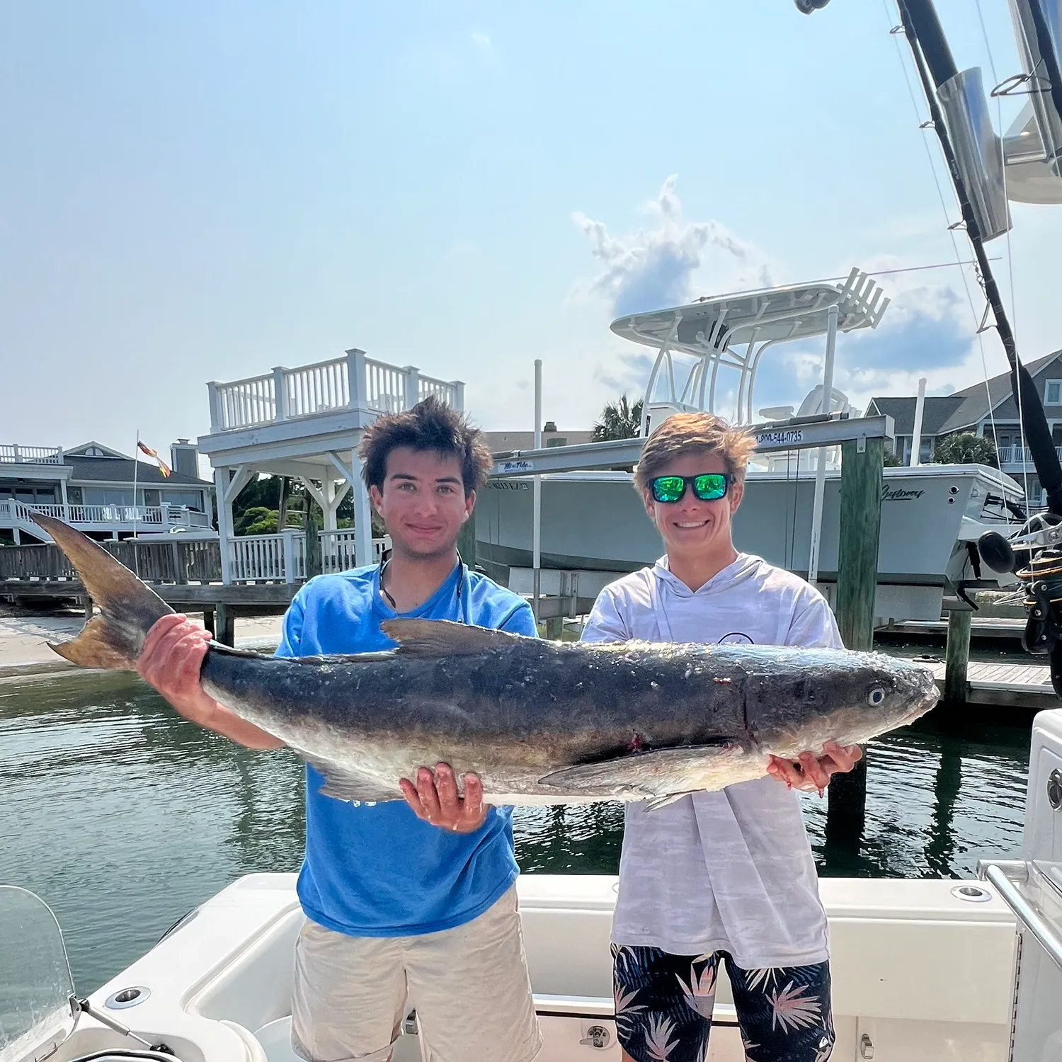 The most recent Cobia catches on Fishbrain