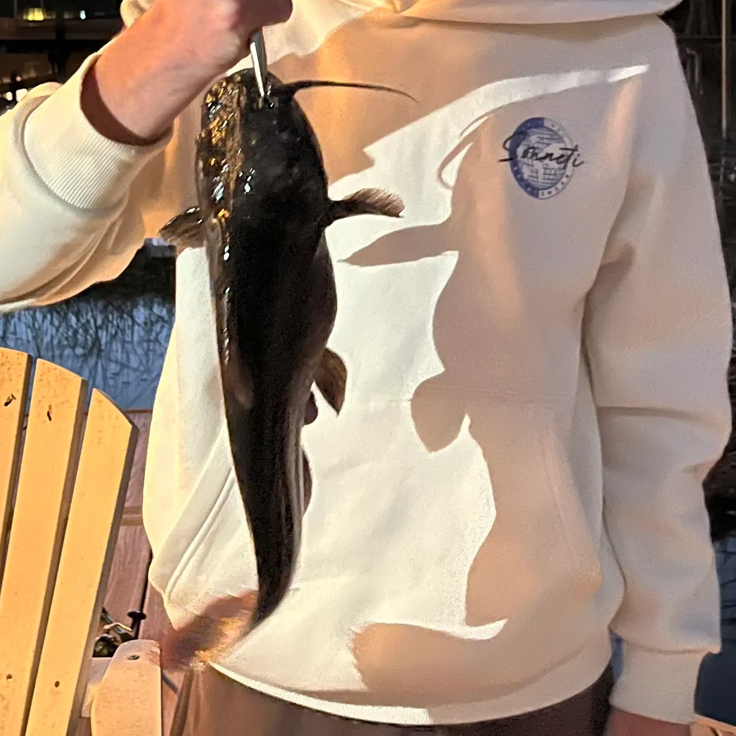 The most recent Black bullhead catches on Fishbrain