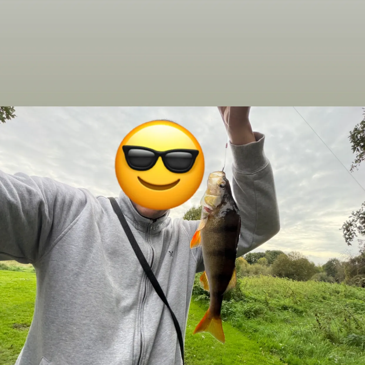 European perch caught on Fishbrain