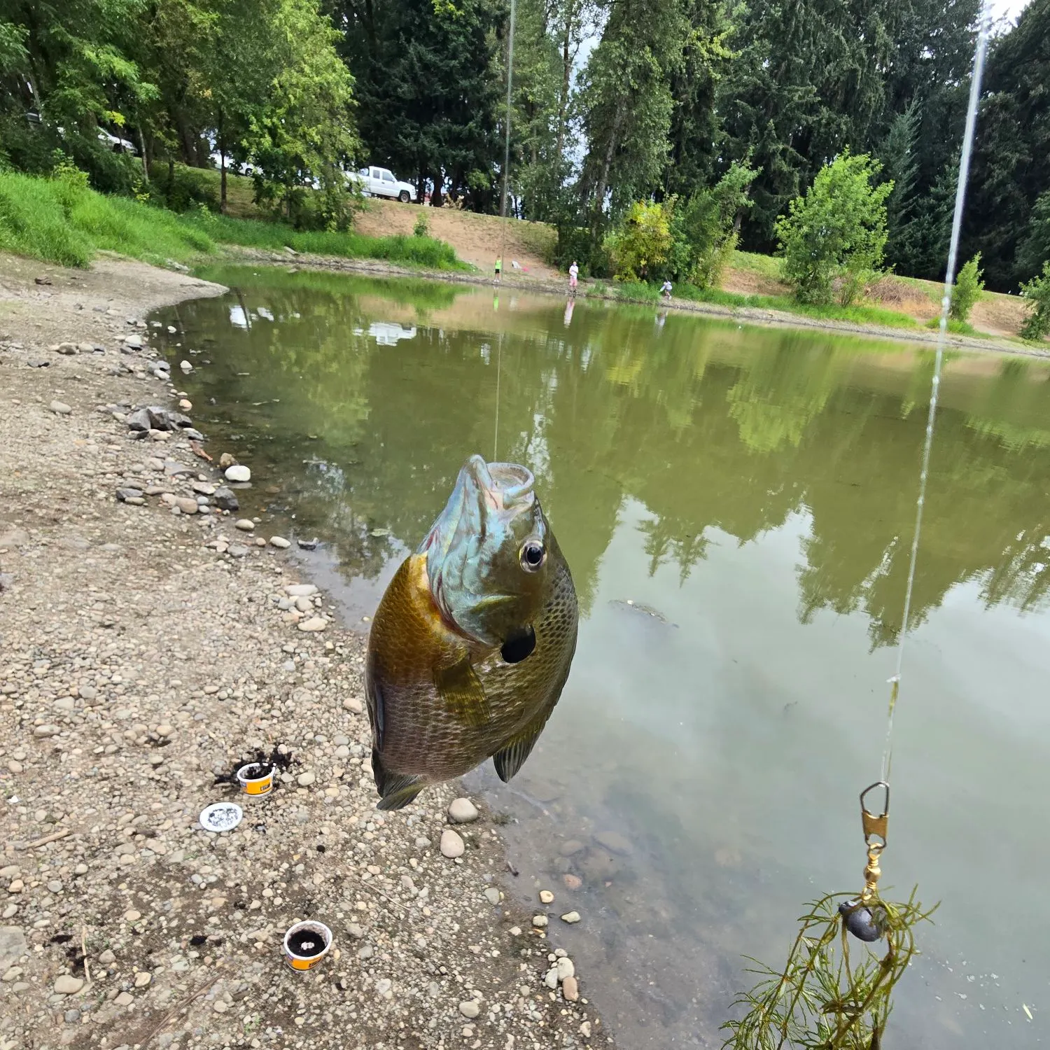 catch