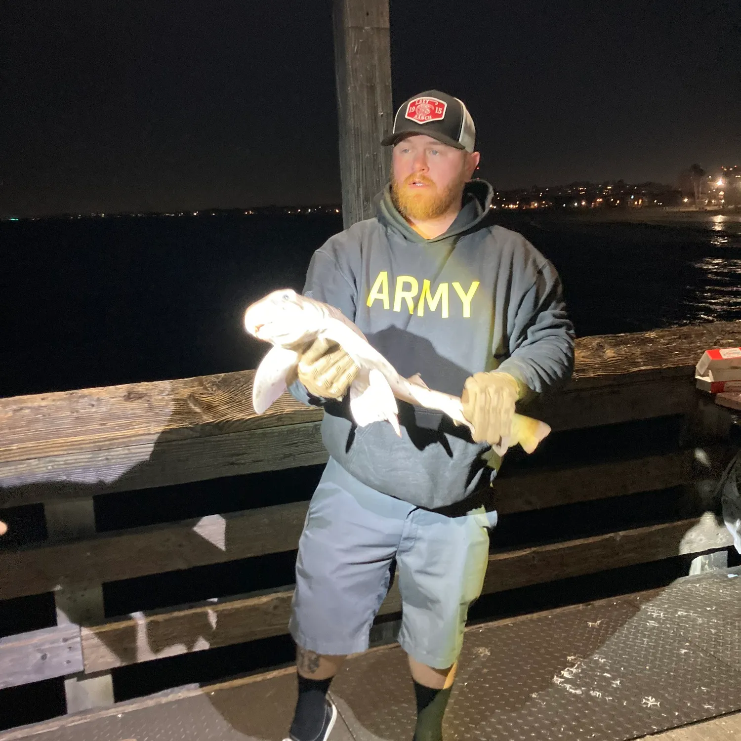 The most recent Zebra shark catches on Fishbrain