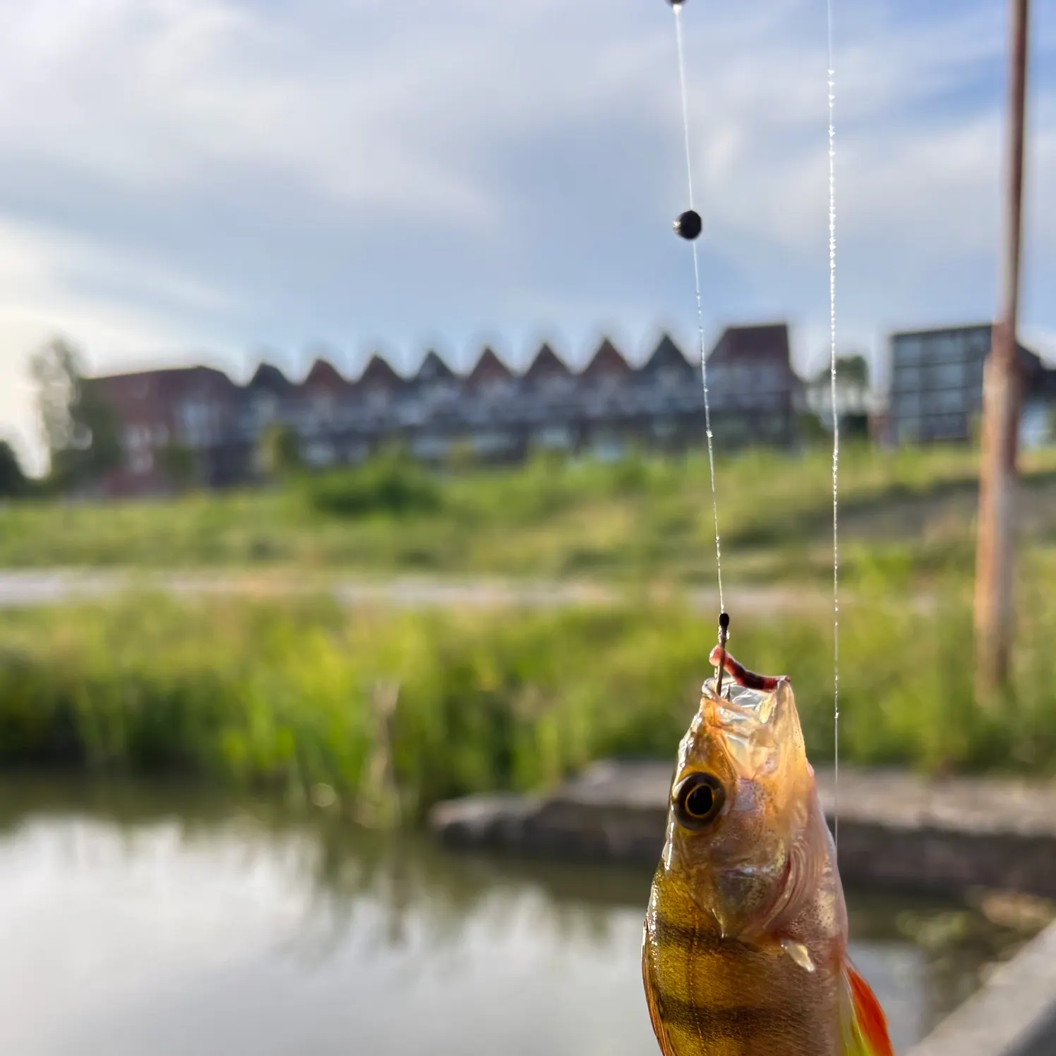 catch