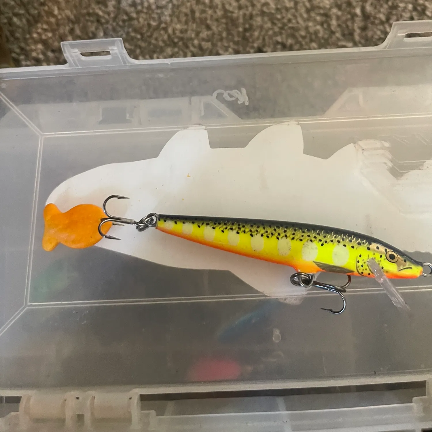 Goldfish caught on Fishbrain