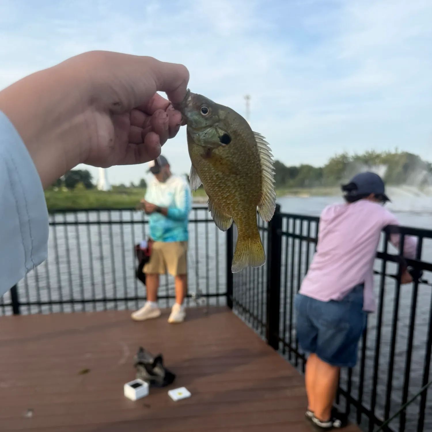 catch