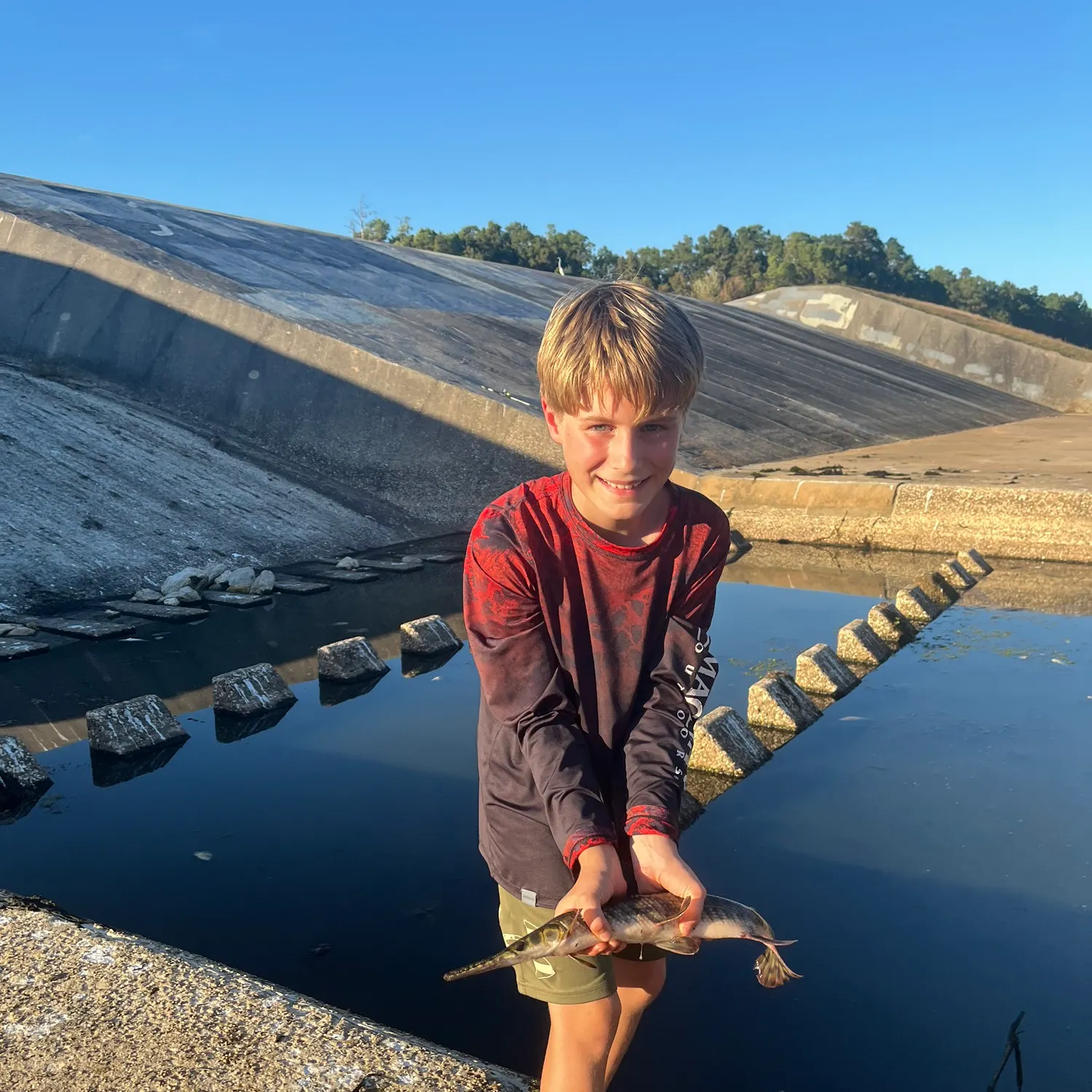 The most recent Spotted gar catches on Fishbrain