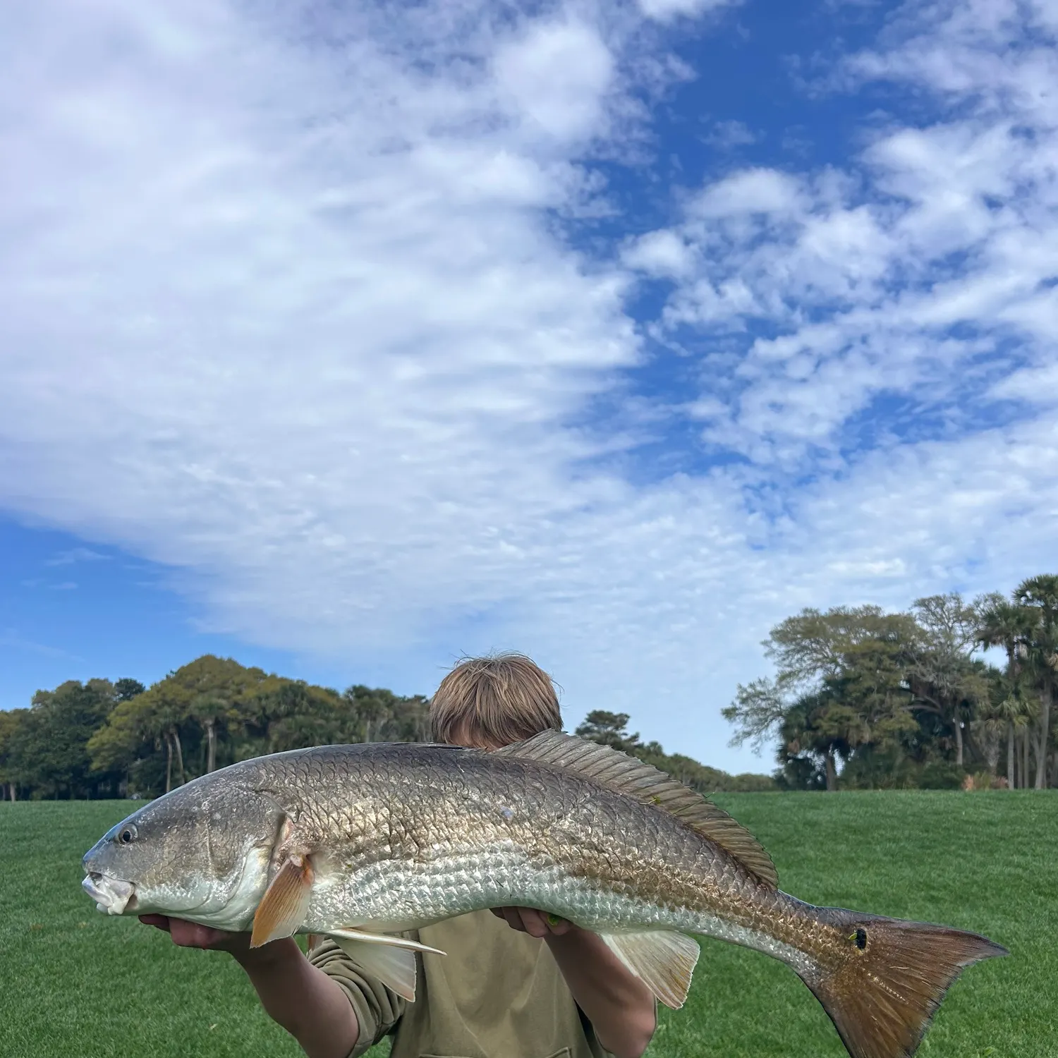 The most recent Red drum catches on Fishbrain