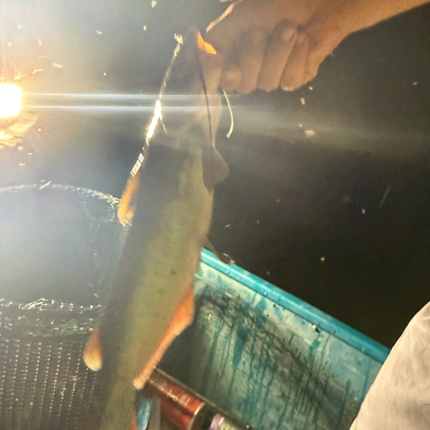 catch