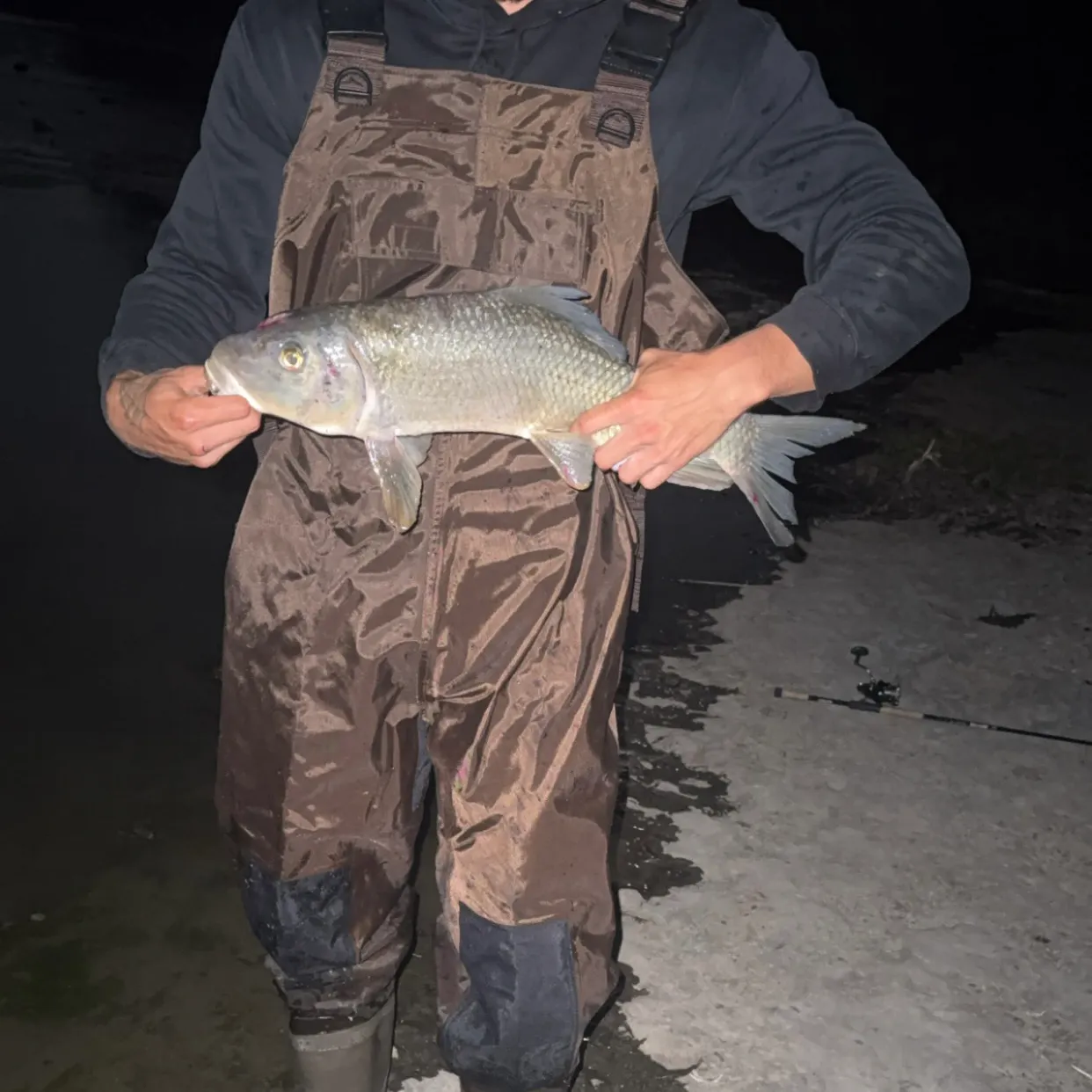 Silver redhorse caught on Fishbrain