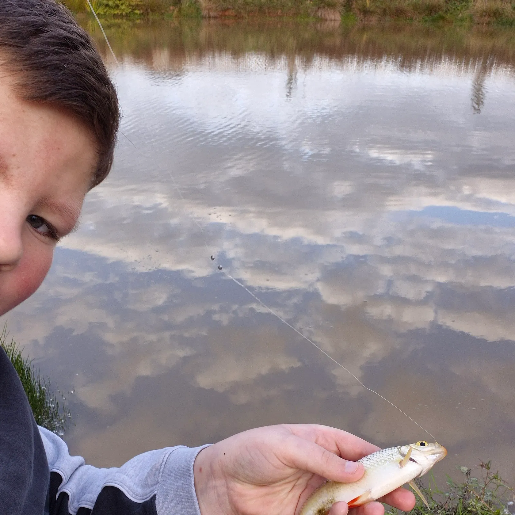 The most recent Tench catches on Fishbrain