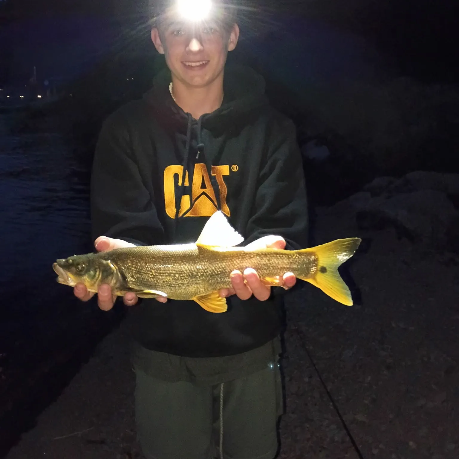 The most recent Lake whitefish catches on Fishbrain