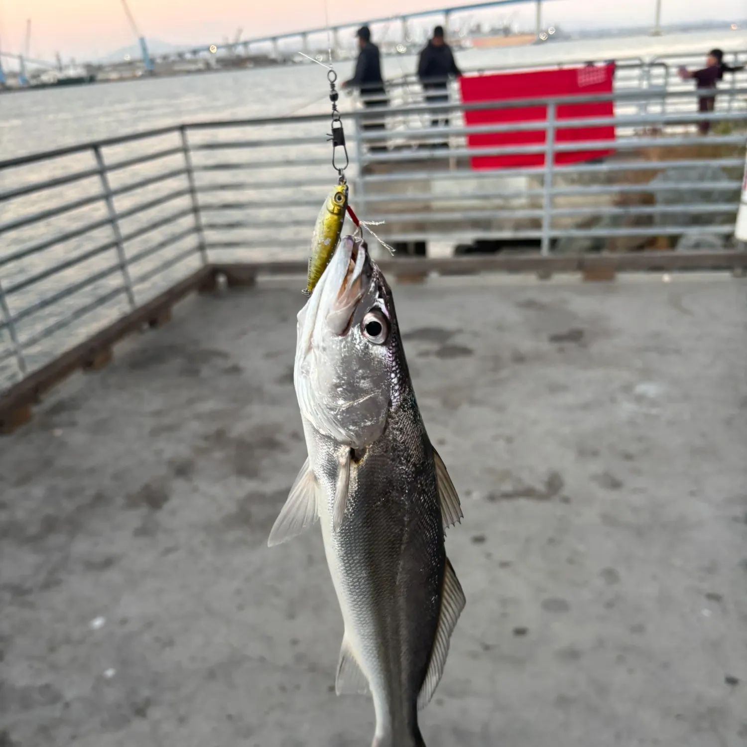 catch