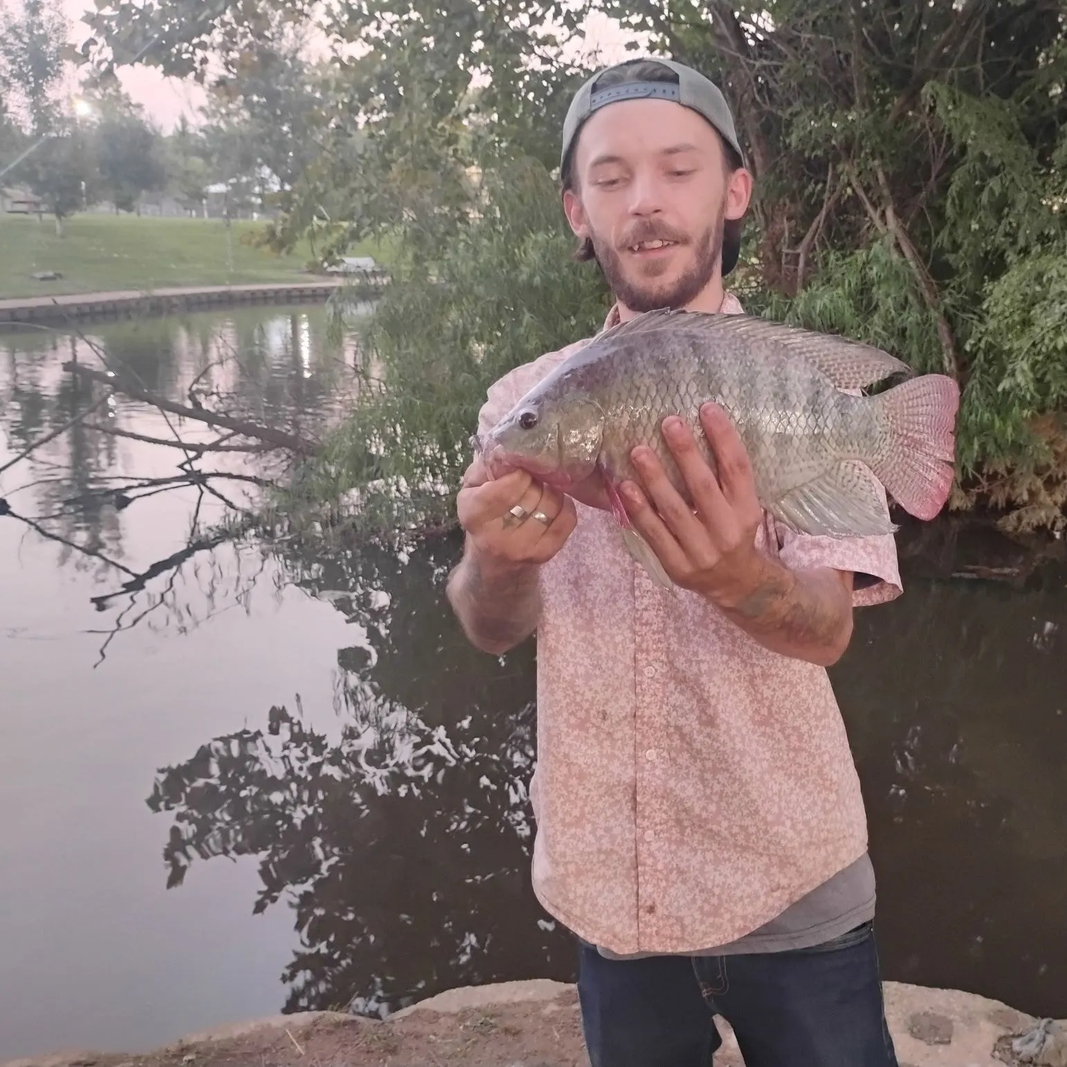 Nile tilapia caught on Fishbrain