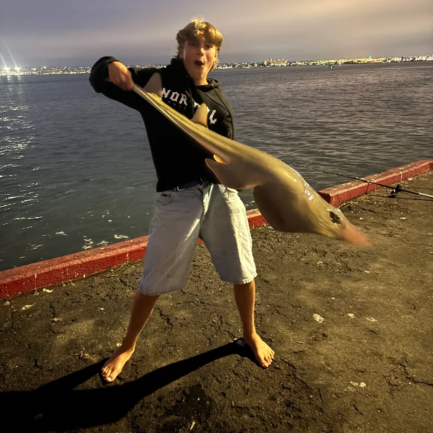 The most recent Giant guitarfish catches on Fishbrain