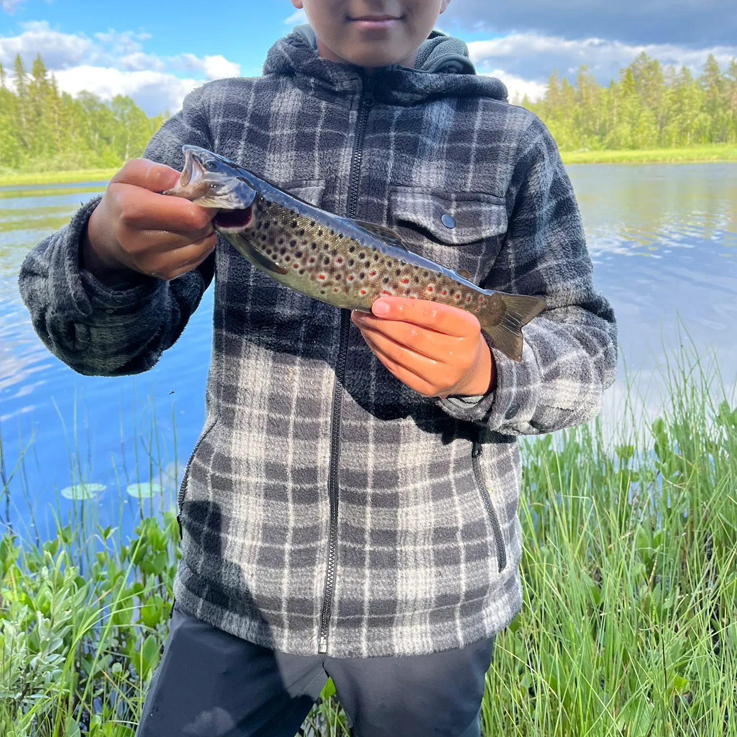 The most recent Lake trout catches on Fishbrain