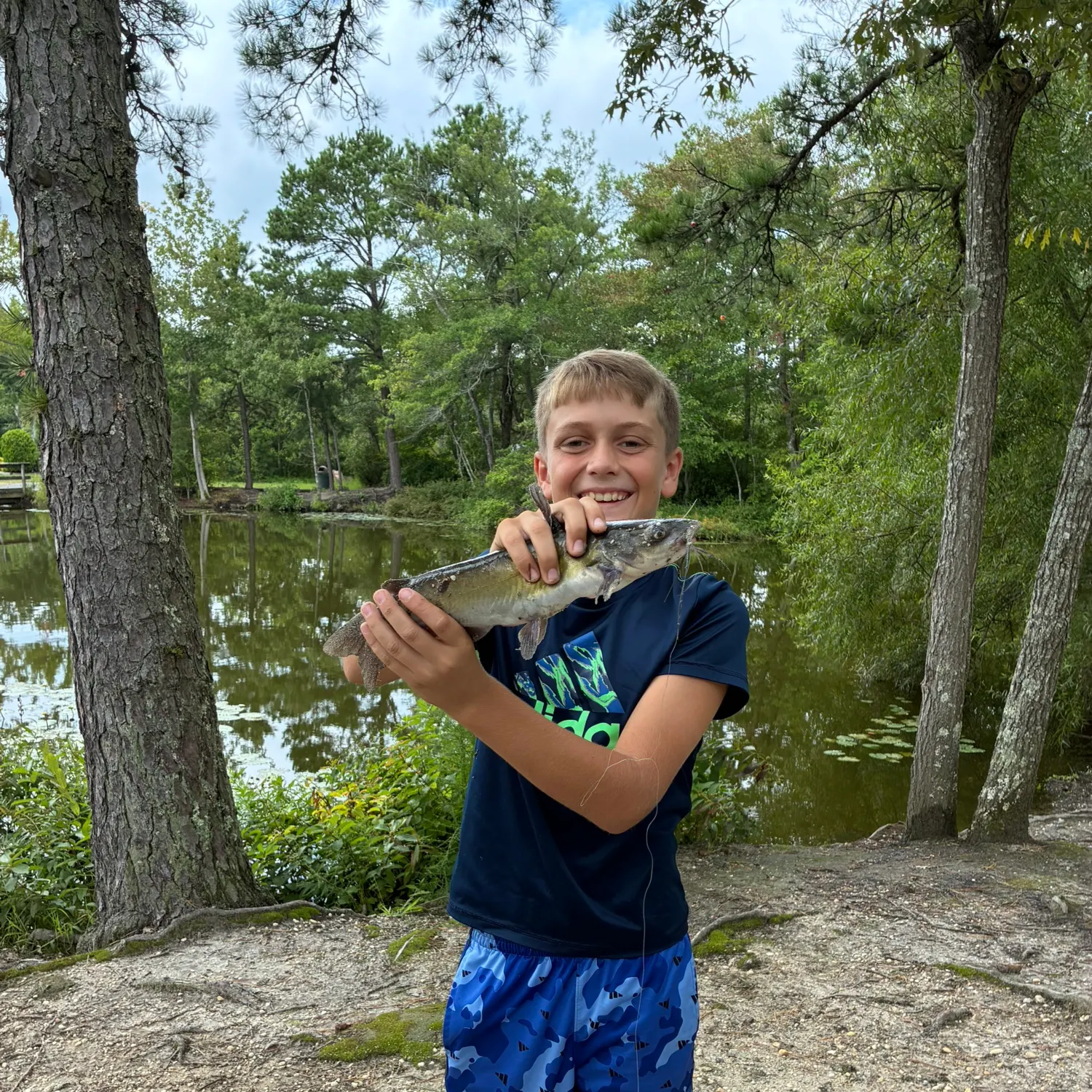Channel catfish caught on Fishbrain