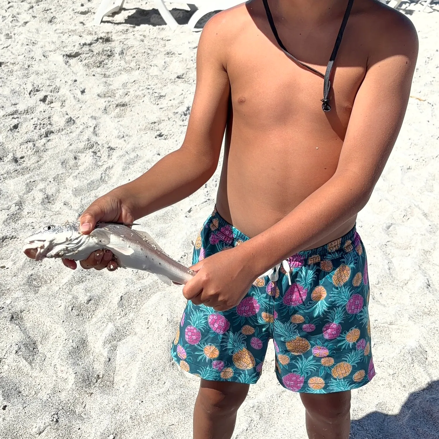 The most recent King George whiting catches on Fishbrain