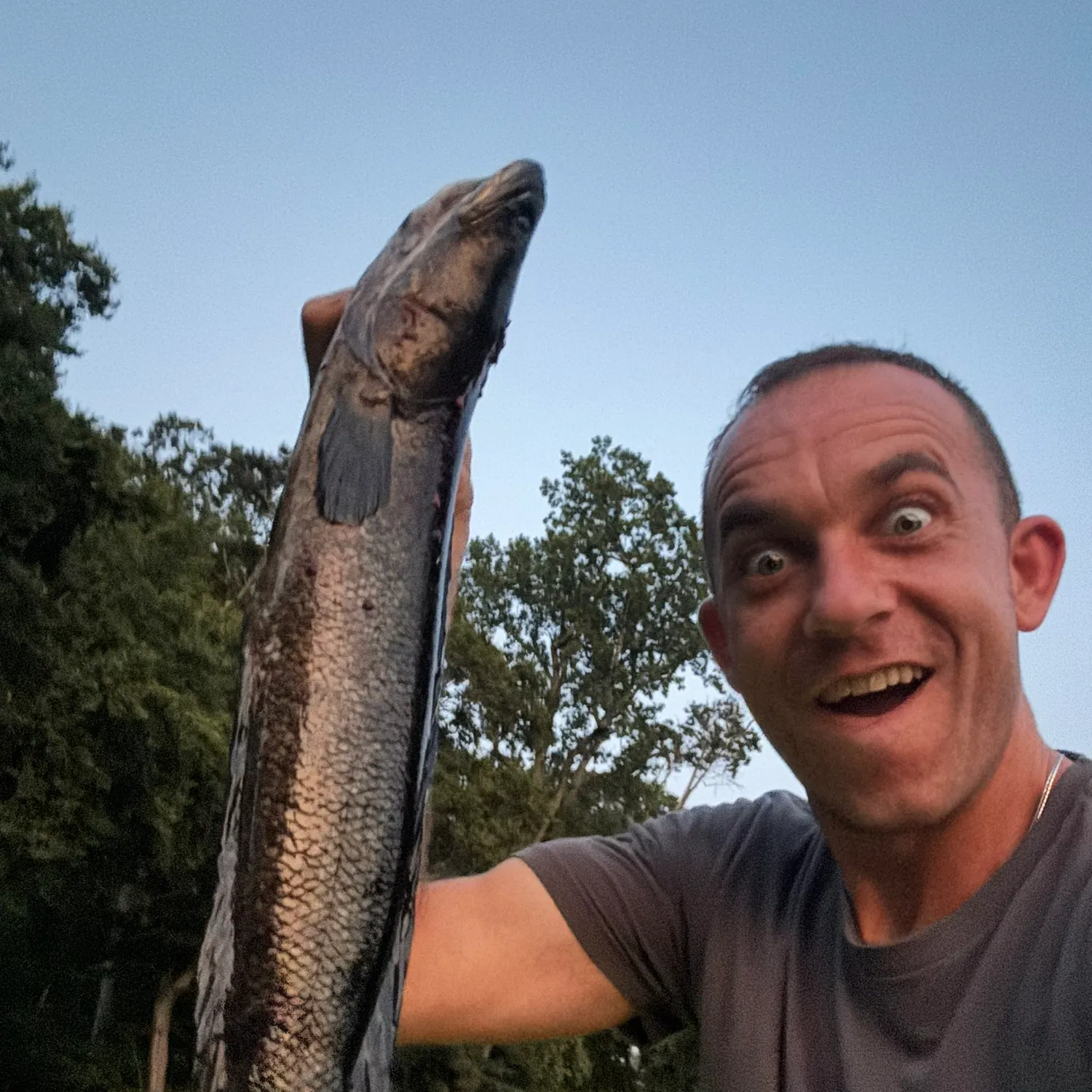 The most recent Northern snakehead catches on Fishbrain