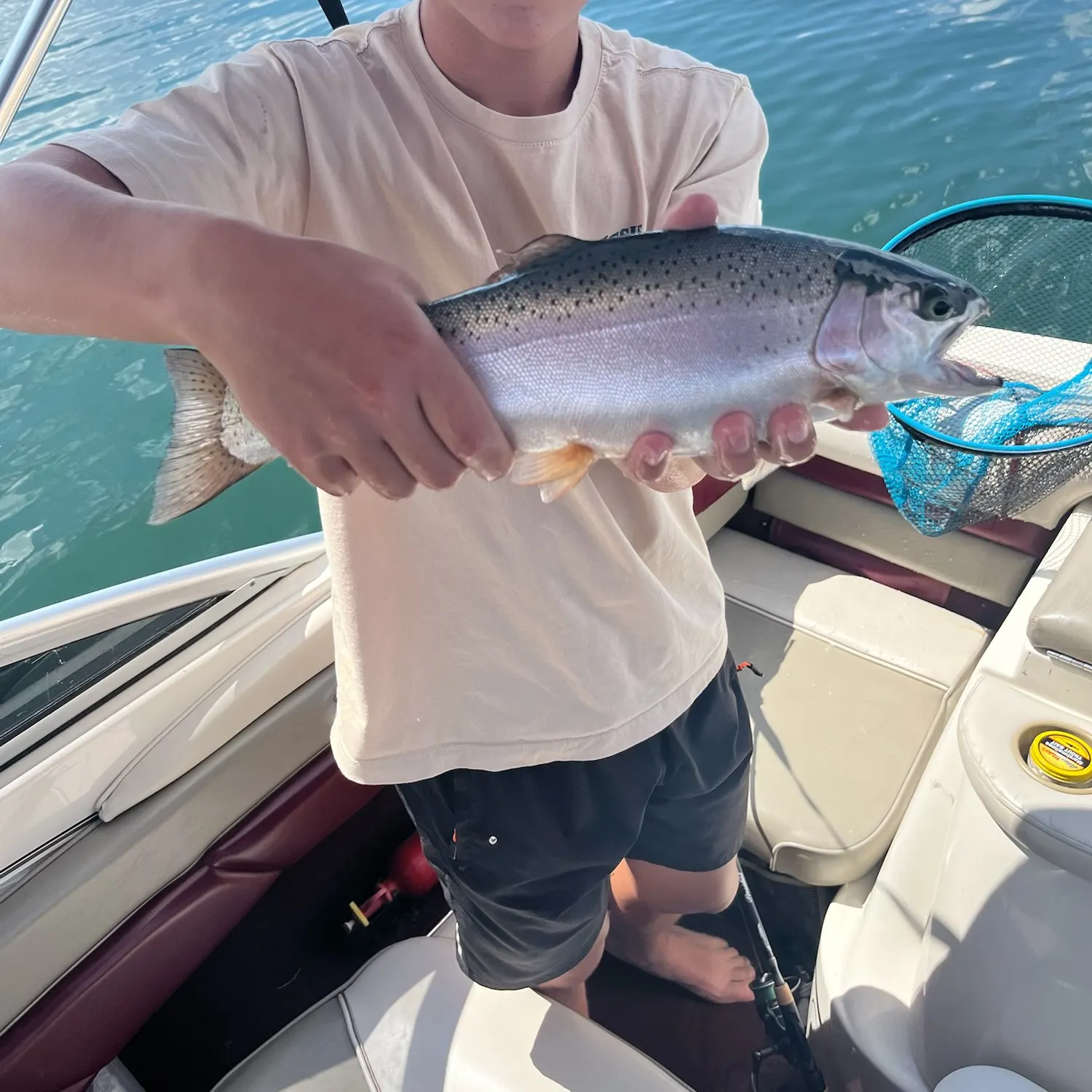 Rainbow trout caught on Fishbrain