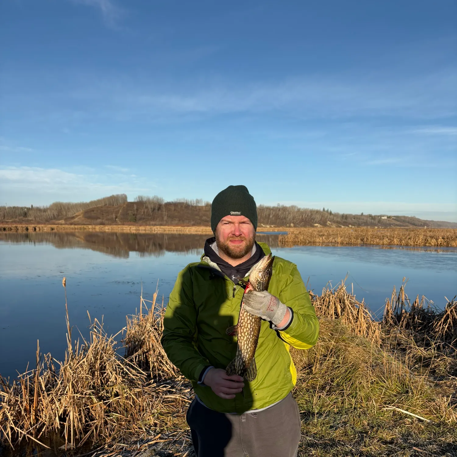Northern pike caught on Fishbrain