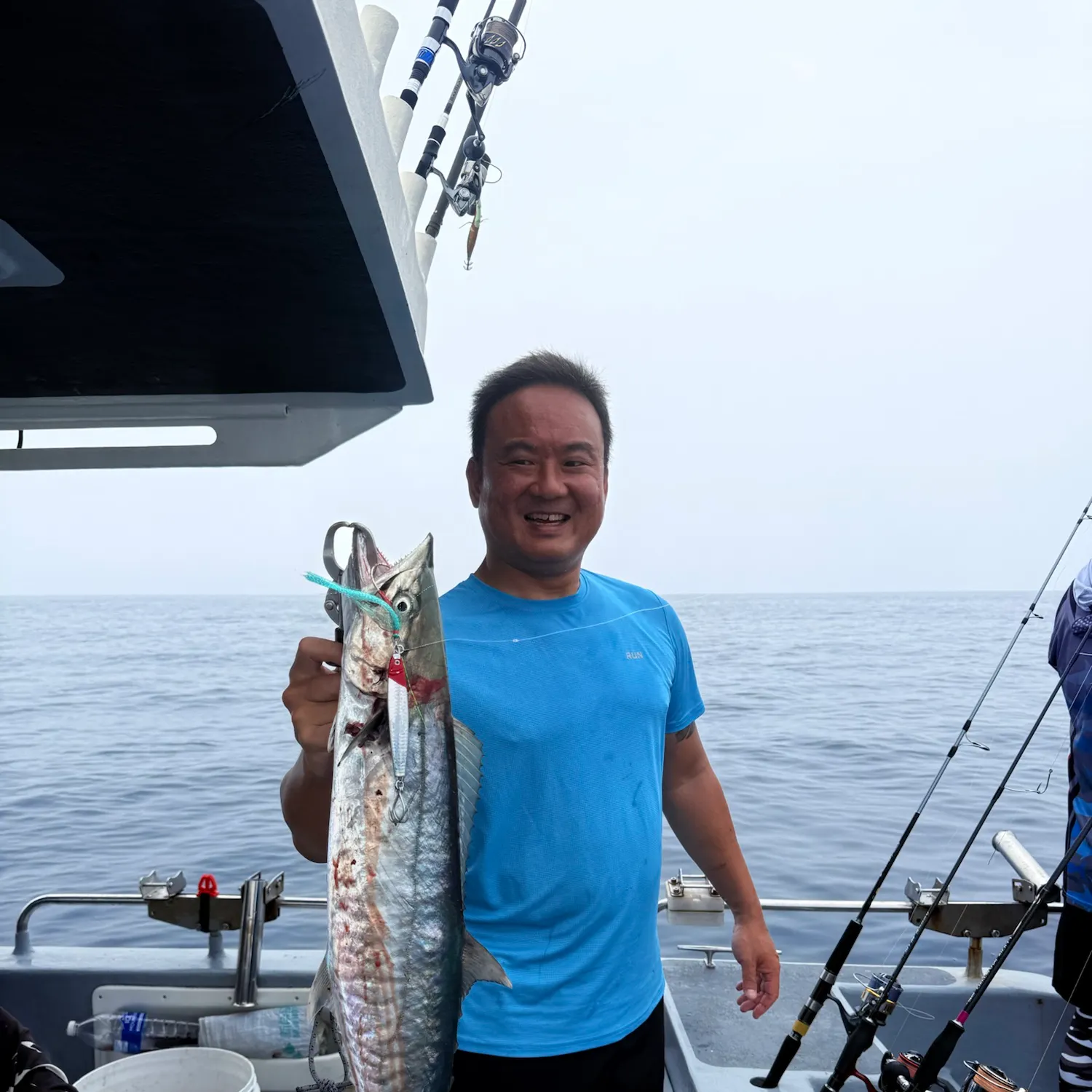 The most recent Narrow-barred Spanish mackerel catches on Fishbrain