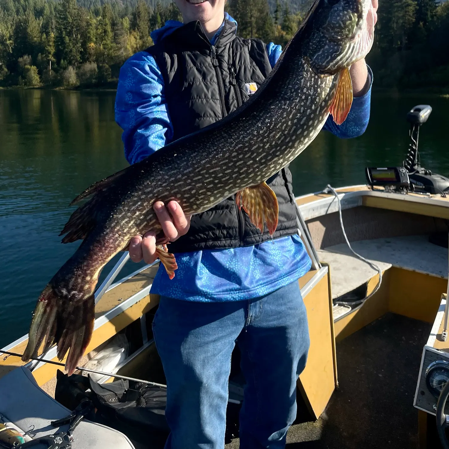Northern pike caught on Fishbrain