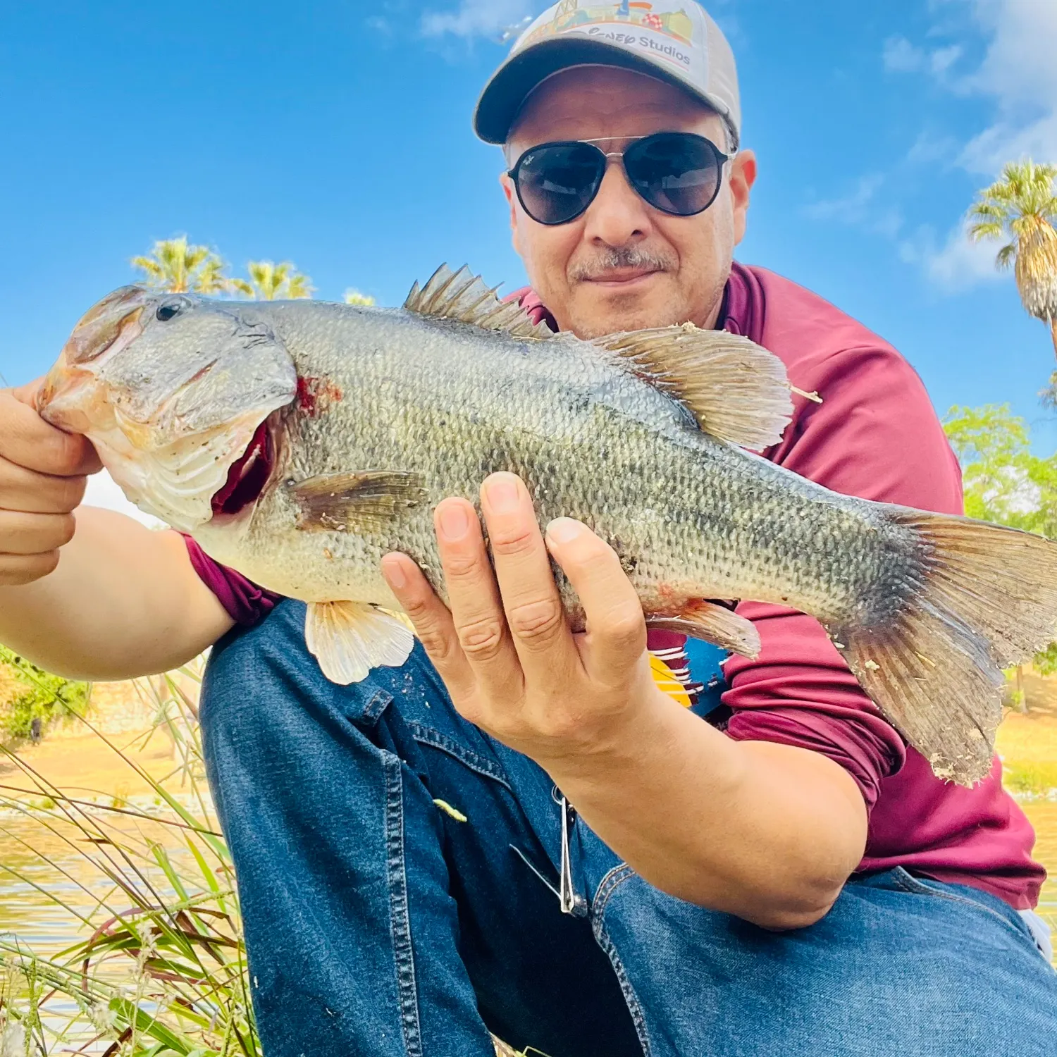 Largemouth bass caught on Fishbrain