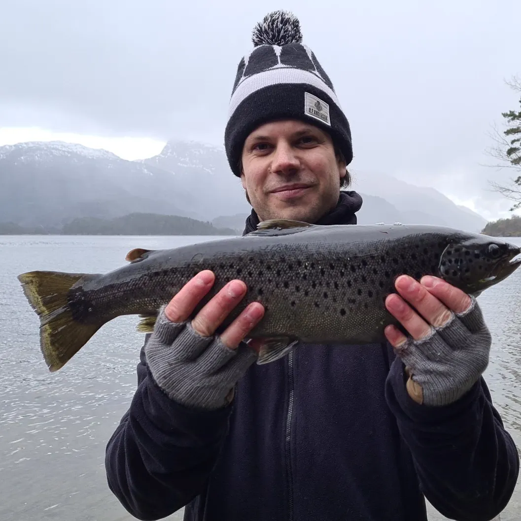 angler catch