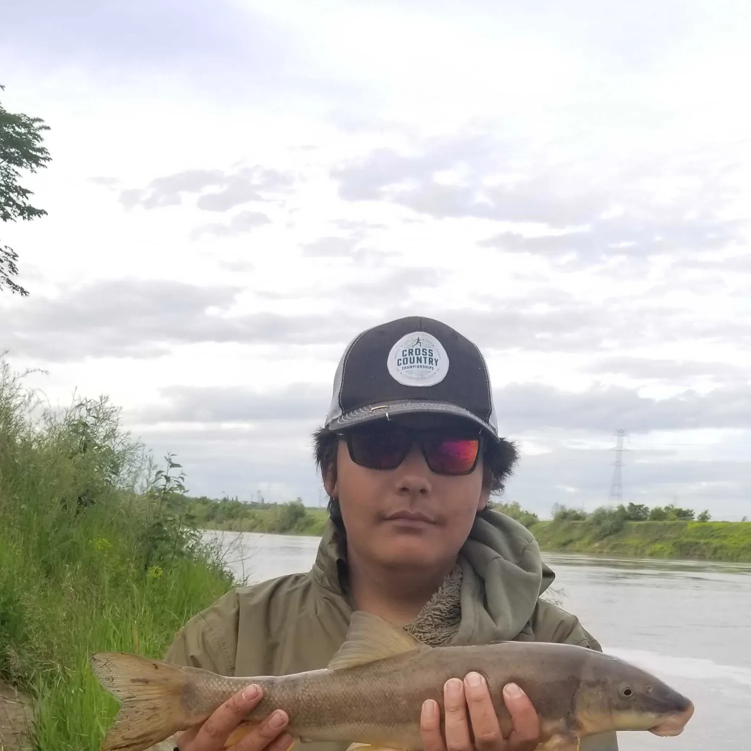 The most recent Longnose sucker catches on Fishbrain