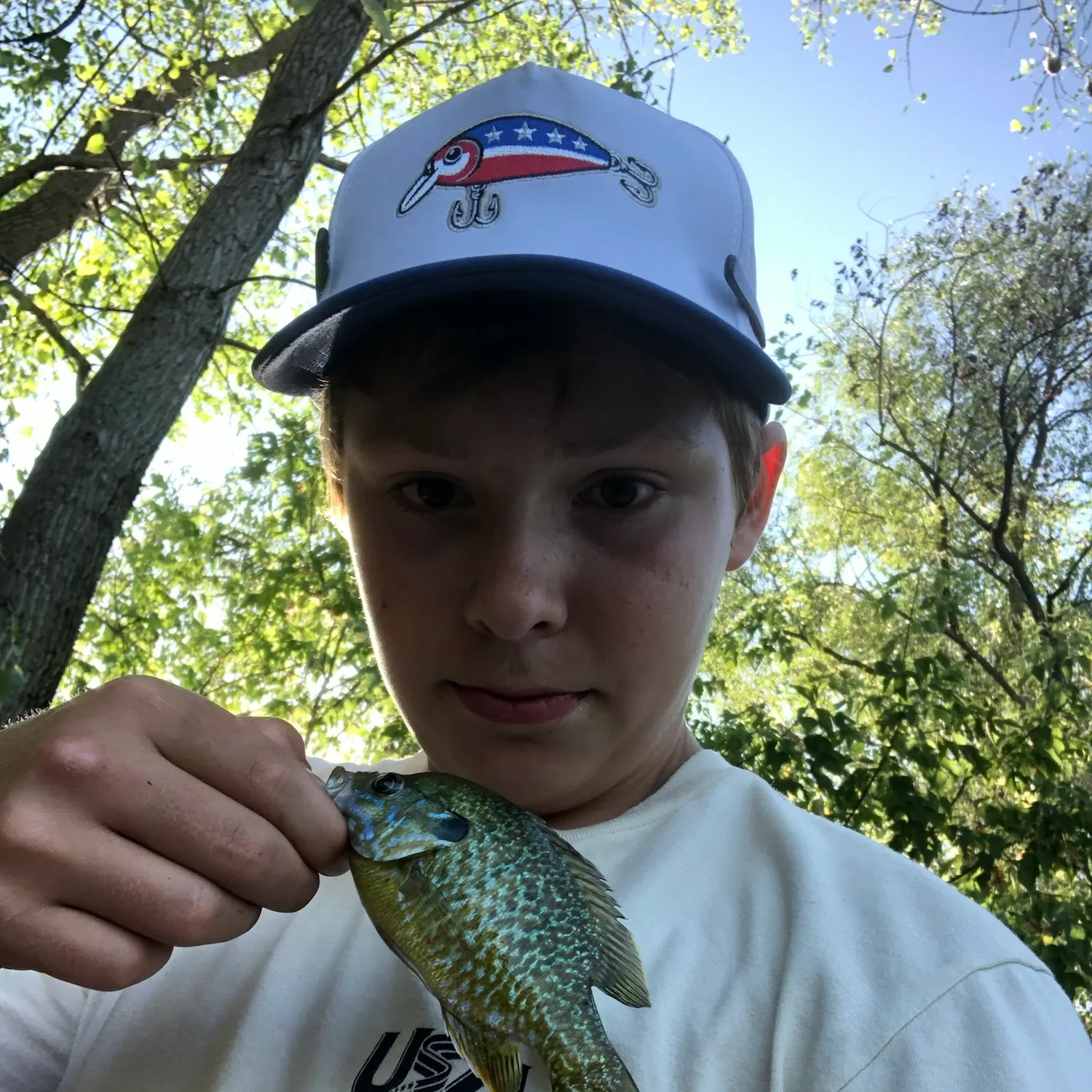 Greengill hybrid caught on Fishbrain
