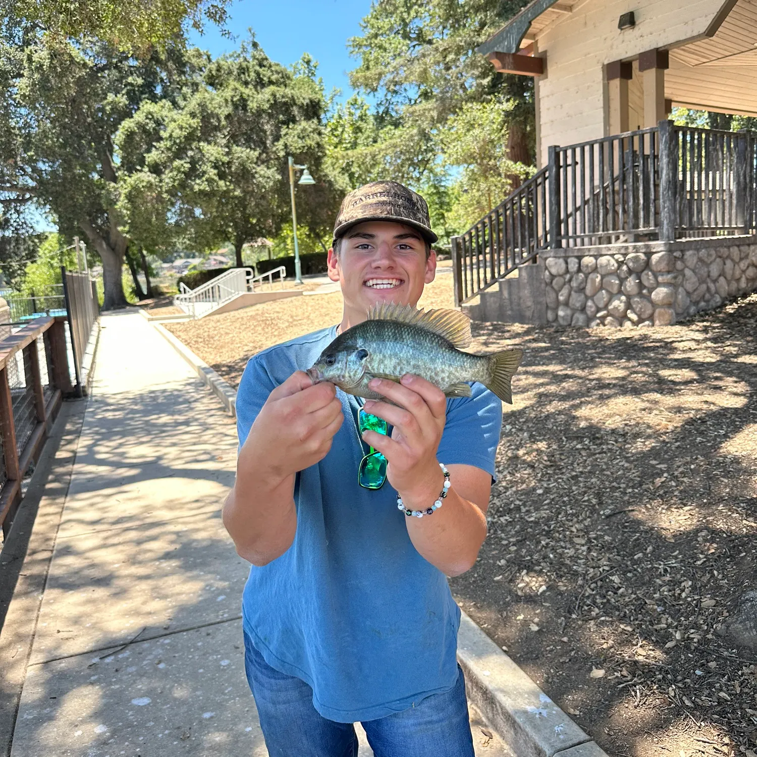 catch