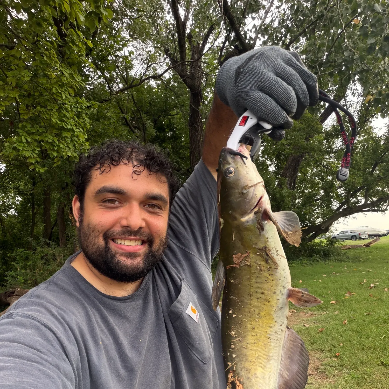 Channel catfish caught on Fishbrain
