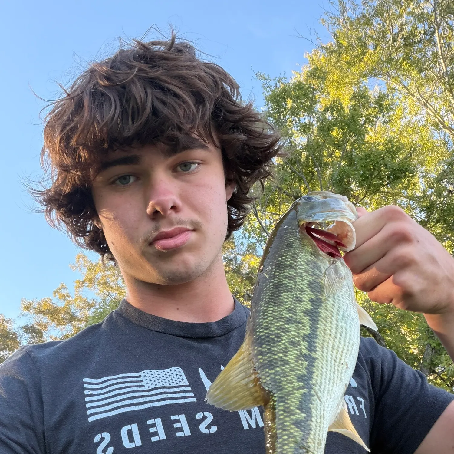Spotted bass caught on Fishbrain