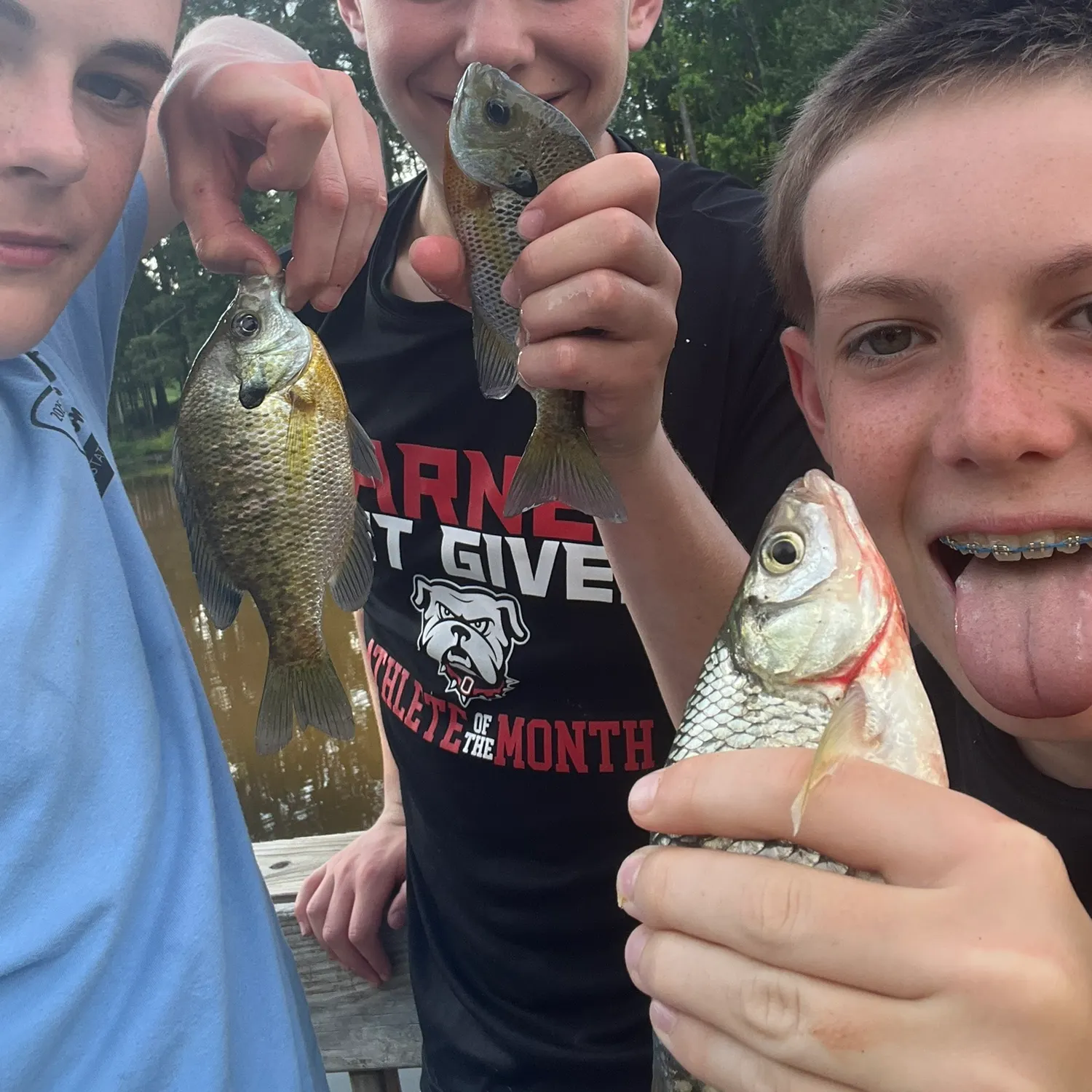 recently logged catches