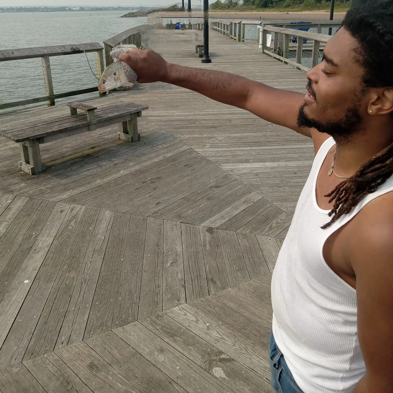 The most recent Scup catches on Fishbrain