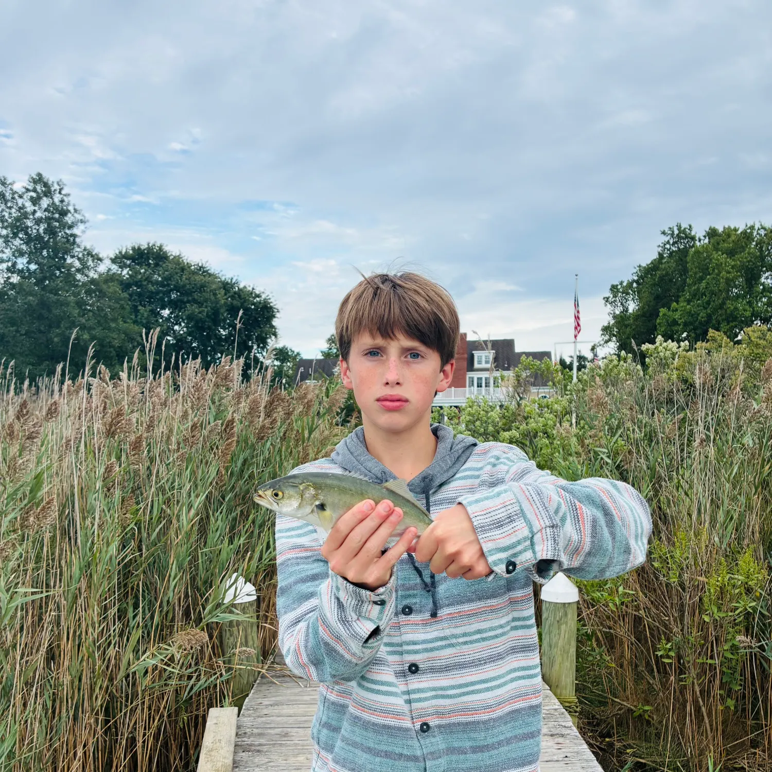 Bluefish caught on Fishbrain