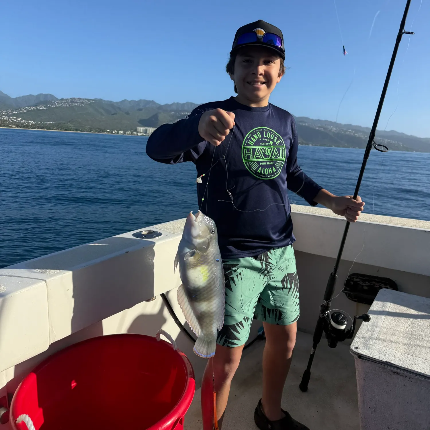 The most recent Peacock wrasse catches on Fishbrain