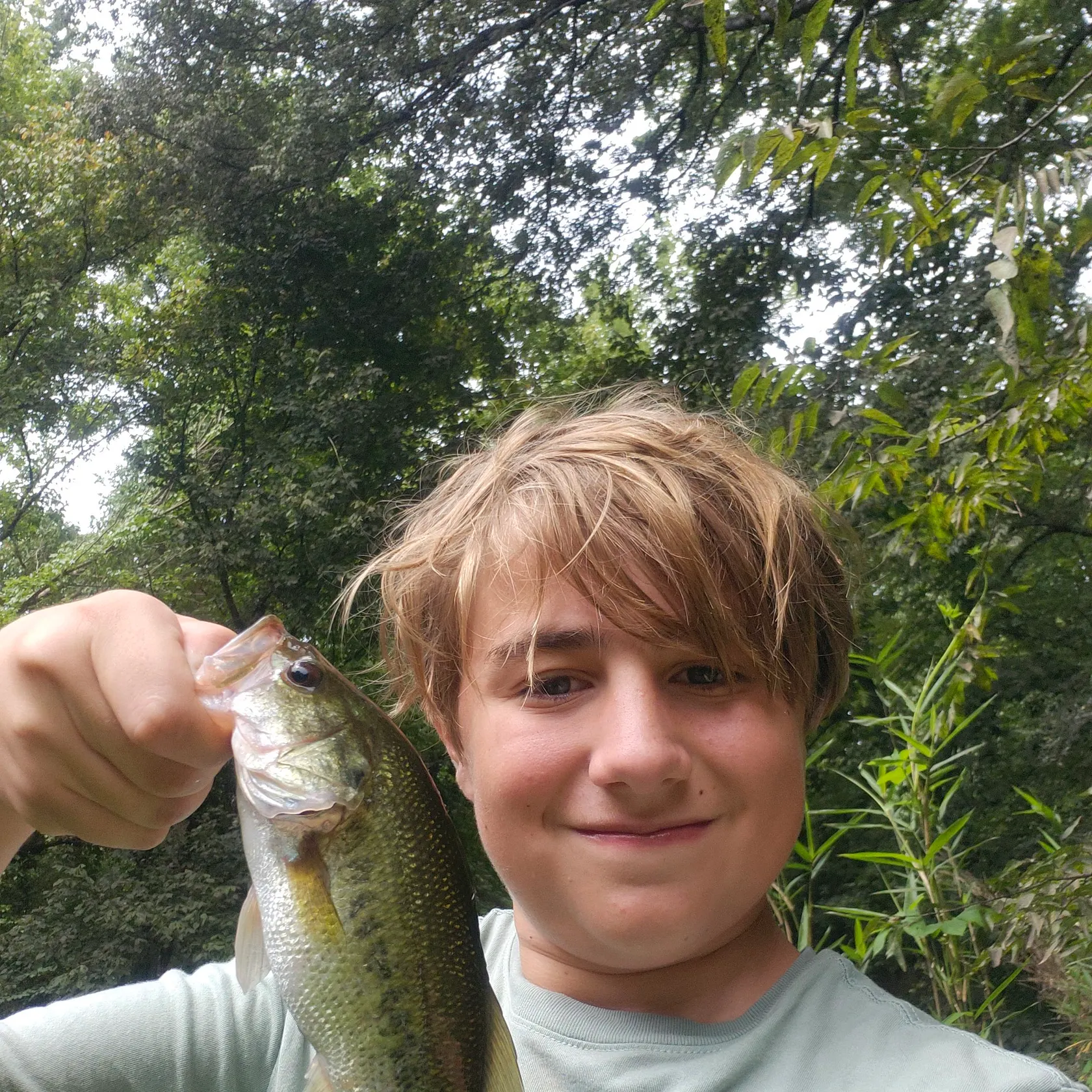 Spotted bass caught on Fishbrain