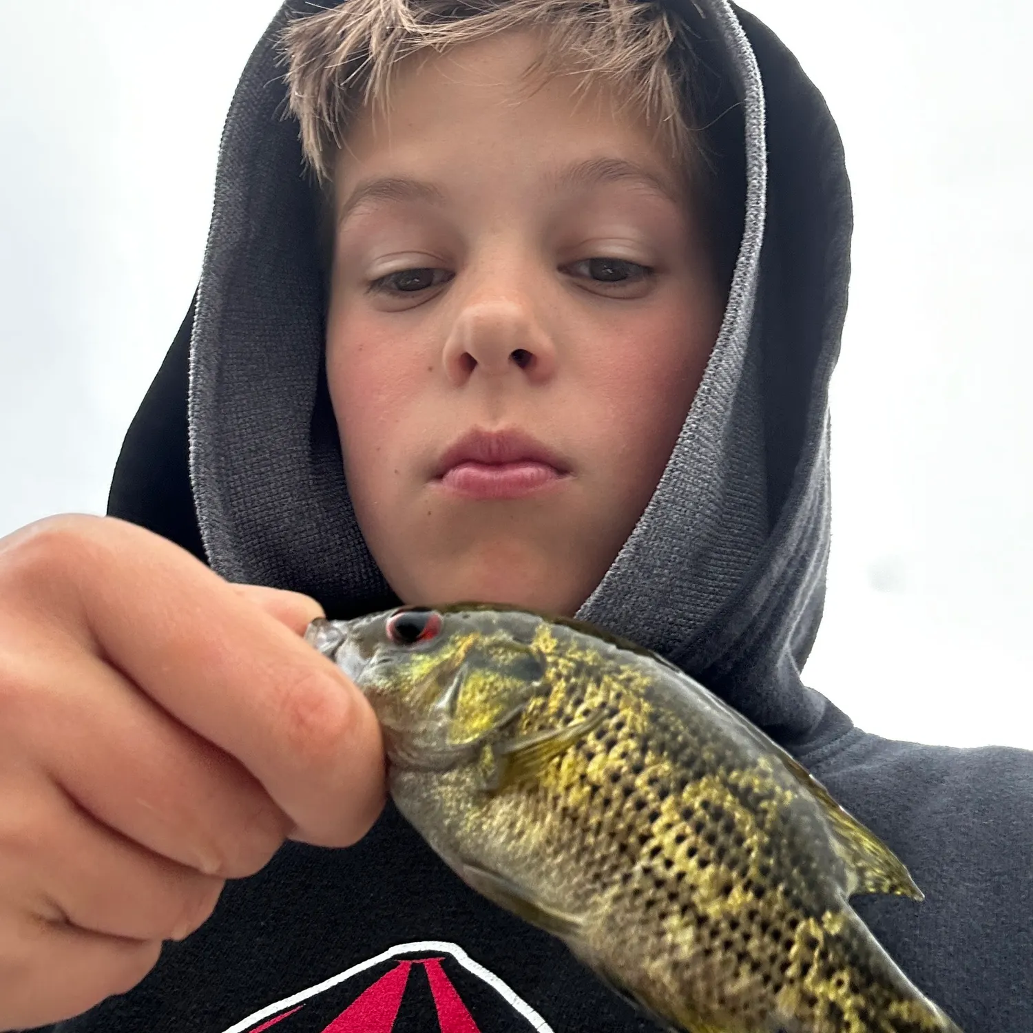 Fish caught on Fishbrain